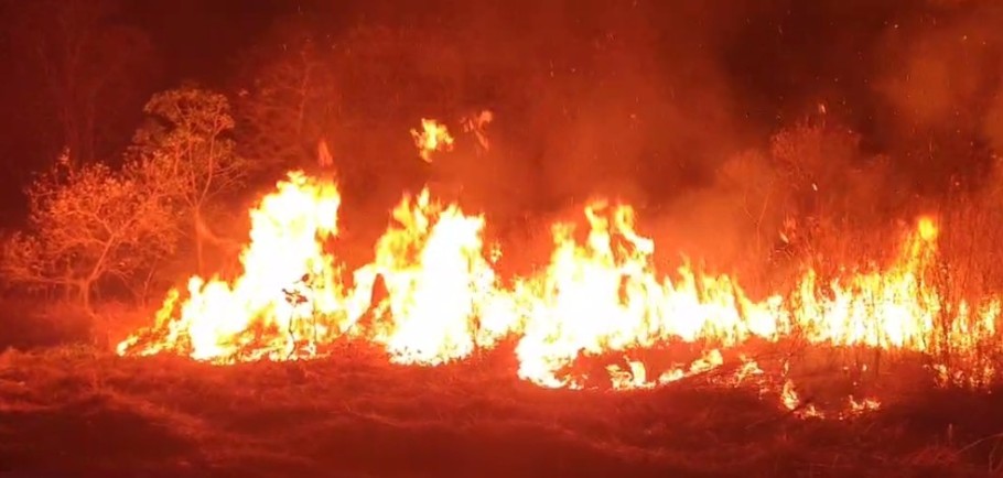 Fiscaliza&ccedil;&atilde;o Ambiental